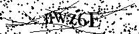 请输入以下文字及数字