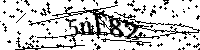 请输入以下文字及数字