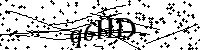 请输入以下文字及数字