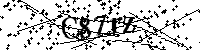 请输入以下文字及数字