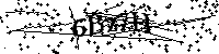 请输入以下文字及数字