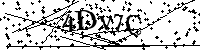 请输入以下文字及数字
