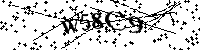 请输入以下文字及数字