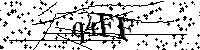 请输入以下文字及数字
