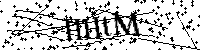 请输入以下文字及数字