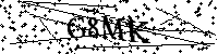 请输入以下文字及数字