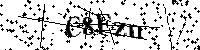 请输入以下文字及数字