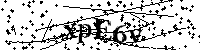 请输入以下文字及数字