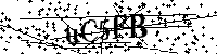 请输入以下文字及数字