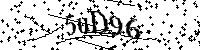 请输入以下文字及数字