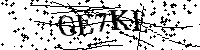 请输入以下文字及数字