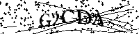请输入以下文字及数字