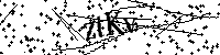请输入以下文字及数字
