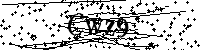 請輸入以下文字及數字