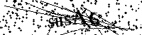 請輸入以下文字及數字