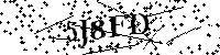 请输入以下文字及数字