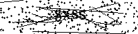 请输入以下文字及数字