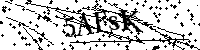 请输入以下文字及数字