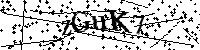 请输入以下文字及数字