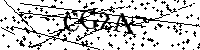 请输入以下文字及数字