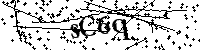 请输入以下文字及数字