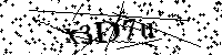 请输入以下文字及数字