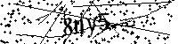 请输入以下文字及数字
