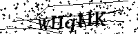 请输入以下文字及数字
