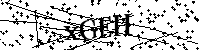 请输入以下文字及数字