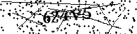 请输入以下文字及数字