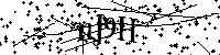 请输入以下文字及数字
