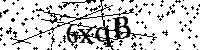 请输入以下文字及数字