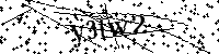 請輸入以下文字及數字