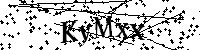 请输入以下文字及数字