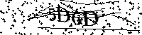 请输入以下文字及数字