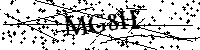 请输入以下文字及数字