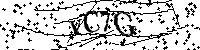 請輸入以下文字及數字