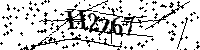 请输入以下文字及数字