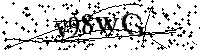 请输入以下文字及数字