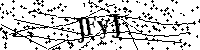 请输入以下文字及数字