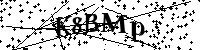 请输入以下文字及数字