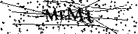 请输入以下文字及数字