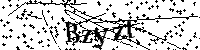 请输入以下文字及数字