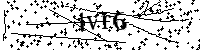 请输入以下文字及数字