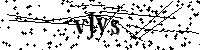 请输入以下文字及数字