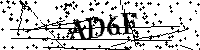 请输入以下文字及数字