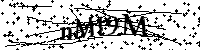 请输入以下文字及数字