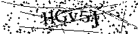 请输入以下文字及数字