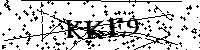 请输入以下文字及数字