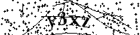 请输入以下文字及数字